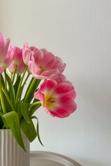 Obraz premium Pink tulips in a white vase placed on a table next to a plain wall during daylight hours
