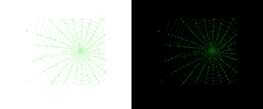 Green radar screen grid vector illustration, digital sonar display interface, abstract technology target background