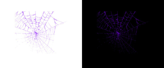 Purple spider web set on white and black backgrounds, neon cobweb design elements, spooky halloween spiderweb graphics for digital art © Graphix Hub