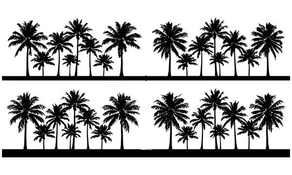Palm trees row illustration in black and white