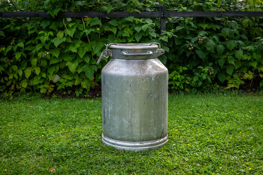 Vintage Aluminum Milk Can on Grass Against Lush Garden Foliage