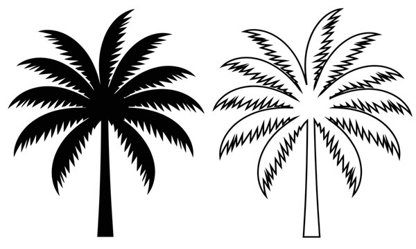 Two palm trees standing side by side