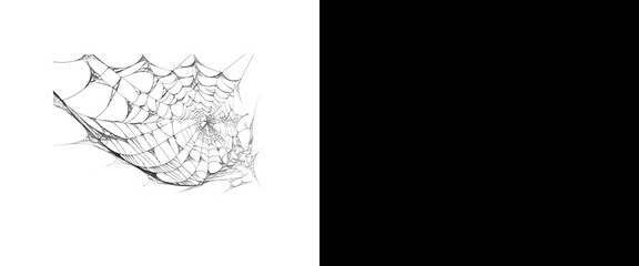 Spooky spider web illustration, hand drawn cobweb sketch on white background, gothic halloween design element © Transparent Studio