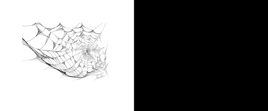 Spooky spider web illustration, hand drawn cobweb sketch on white background, gothic halloween design element