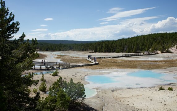 Passerelle au Porcelain Basin &agrave; Norris Geyser basin - Yellowstone 