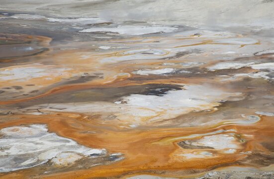 Zoom sur Norris Geyser Basin - Yellowstone