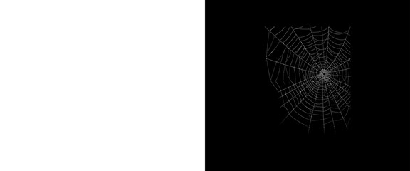 Spooky spider web illustration on black background, creepy cobweb graphic design, Halloween decorative element © Creative Element