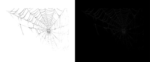 Spooky spider web on white and black background, creepy cobweb design elements, Halloween graphic assets for overlay © Creative Element