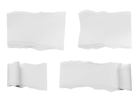 Curved blank paper sheets on white background
