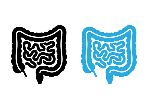 Human large intestine icon set in black and blue, vector illustration for digestive health and medical education.