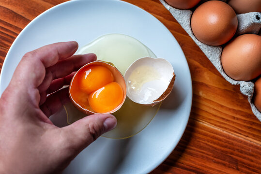 Twin Egg Yolks. One cracked open raw egg with two yellow yolks, on a white plate on a wooden table.