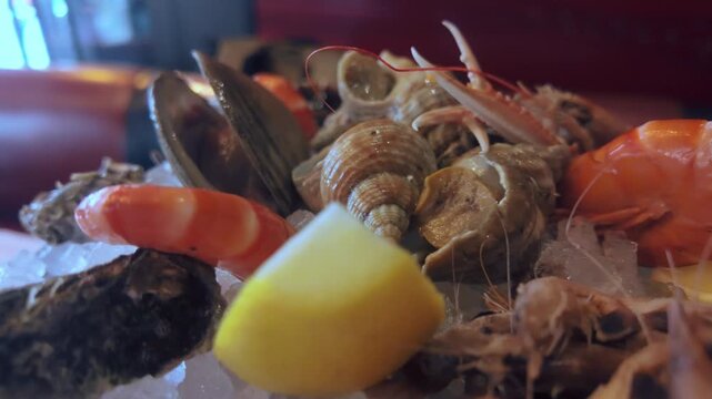 Fresh seafood platter on ice. Oysters, mussels, shrimp, and scallops displayed. Citrus wedges add color and freshness. Perfect for restaurant menus or seafood promotions