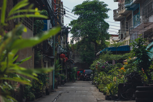 quiet tropical alley with lush greenery and residential houses in urban Thailand, authentic Bangkok neighborhood courtyard with plants narrow street and local atmosphere background