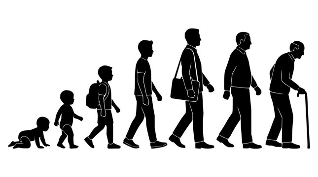 Human life stages set with minimalist line art featuring baby, child, teenager, adult, and elderly silhouettes with growth arrows and age labels
