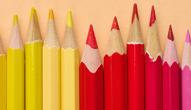 Multicolored wooden pencils in a row, drawing and creativity tools