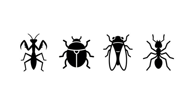 Black insect silhouettes mantis beetle cicada and ant set.