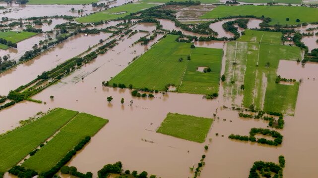 Aerial view of flooded fields and crop damage.
