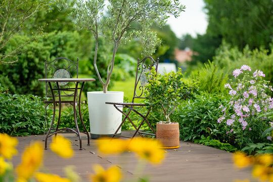 Small table and chairs stand on a wooden garden terrace surrounded by lush greenery and potted plants. Cozy outdoor seating area creates a peaceful summer retreat.