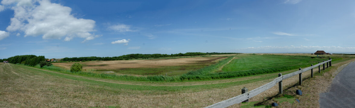 D&uuml;nenlandschaft Terschelling