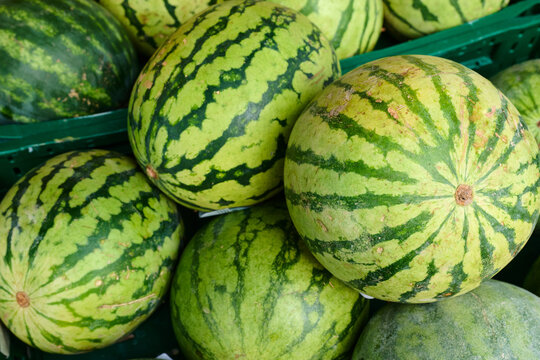 Group of watermelons for sale in a fruit shop.