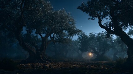 Fototapeta premium Mysterious olive orchard under a crescent moon at night