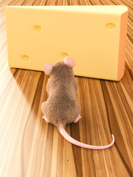 Mouse looking at piece of cheese