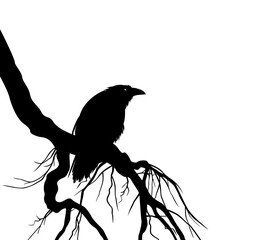 Naklejka premium mysterious raven bird gazing and sitting on bare tree twisted branch cascading down - halloween dark magic spooky animal page corner vector design set
