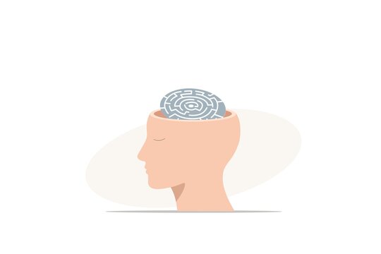 An open human head reveals a complex brain maze