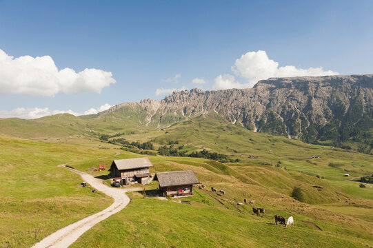 Italy, South Tyrol, Seiseralm, Mountain scenery, elevated view