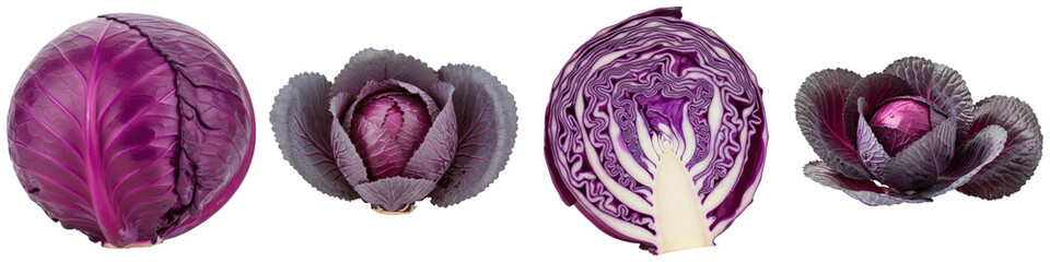 Obraz premium Four red cabbages, whole and halved, isolated on a white background