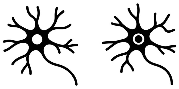Two black line of biological neurons or nerve cells isolated on a white background, for medical and, science concepts