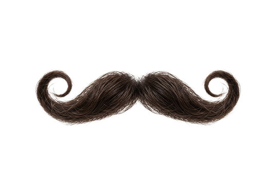 Dark brown handlebar mustache with stylized curled tips and detailed hair texture isolated on a dark plain surface.