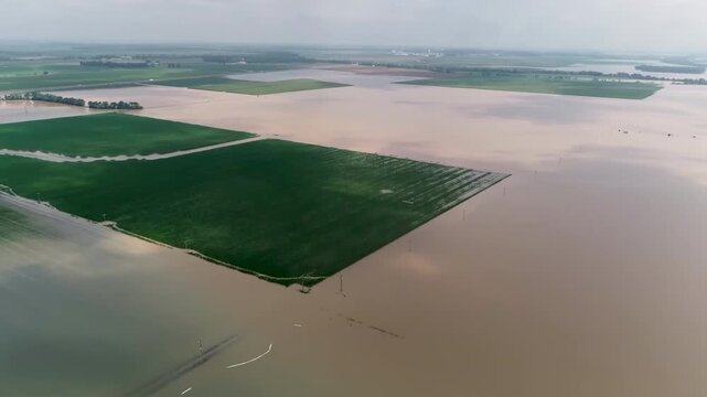Panoramic view of damaged and flooded crops.
