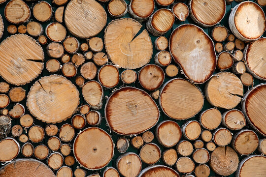 Close-up view of various tree stump cross-sections arranged in natural pattern, highlighting the different sizes, textures, and colors of wood in a rustic and organic. Eco-friendly, nature background