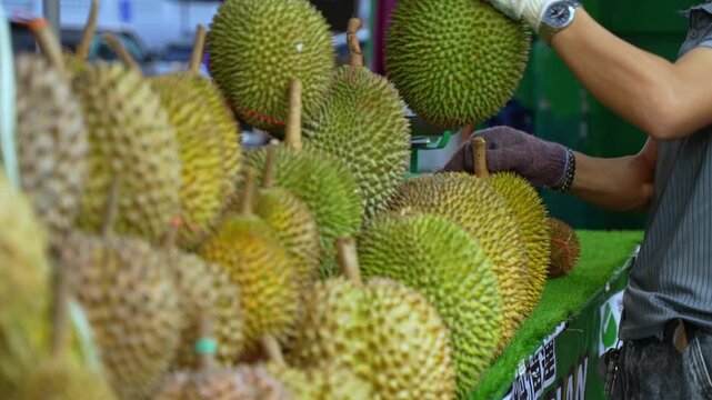 Fresh tropical durian fruits displayed at a Street market stall. Colorful exotic Durio zibethinus fruits in Malaysia