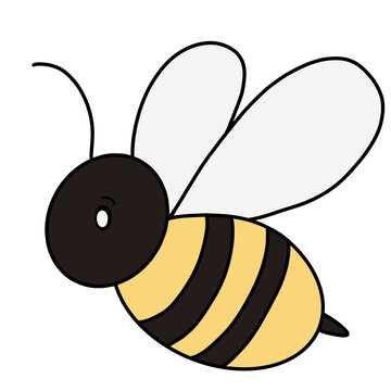 bee on white background
