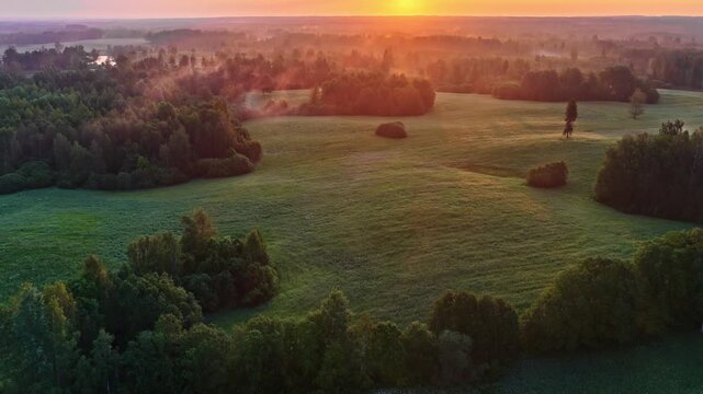 Aerial view of lush green fields and dense forest patches illuminated by the warm golden light of a summer sunset in Latvia.