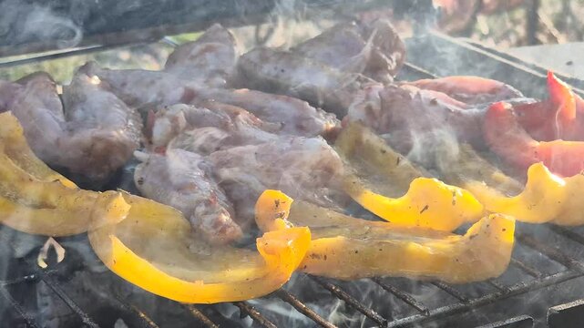 Grilled chicken wings and bell peppers cook over charcoal flames on an outdoor barbecue. Extreme close-up shot.