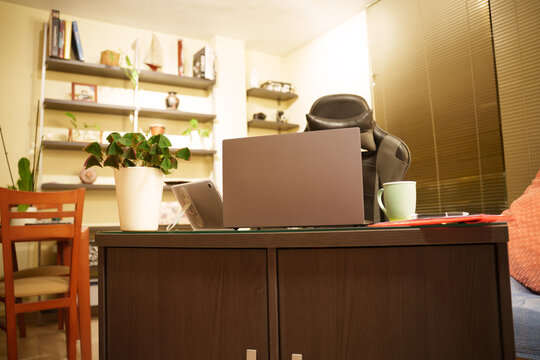 Home office desk with laptop, plant, notebook and coffee cup in warm evening light, creating relaxed lived-in study workspace with shelving, books and decorative accents