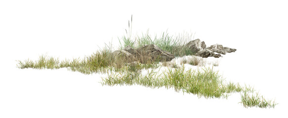grass on white background/High-resolution detailed grassy landscape with natural rocks and lush green vegetation isolated on a clean white background. © Saharattaphum