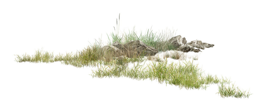 grass on white background/High-resolution detailed grassy landscape with natural rocks and lush green vegetation isolated on a clean white background.