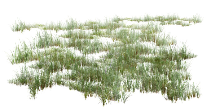 green grass isolated on white/Green grass field patch isolated on white background. High resolution, sharp detail, detailed botanical 