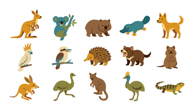 Set of cute cartoon australian animals including kangaroo koala platypus dingo kookaburra echidna tasmanian devil quokka emu cassowary and lizard