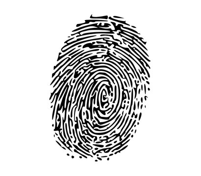 finger print on white background 