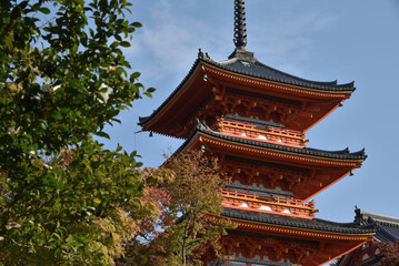 Fototapeta premium 色づきはじめた清水寺 三重塔(京都市東山区)