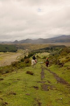 Cotopaxi National Park Horseback Riding