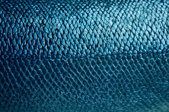 Extreme Close Up of Deep Blue Fish Scales, Glossy Natural Texture Pattern, Sustainable Seafood and Marine Life Concept