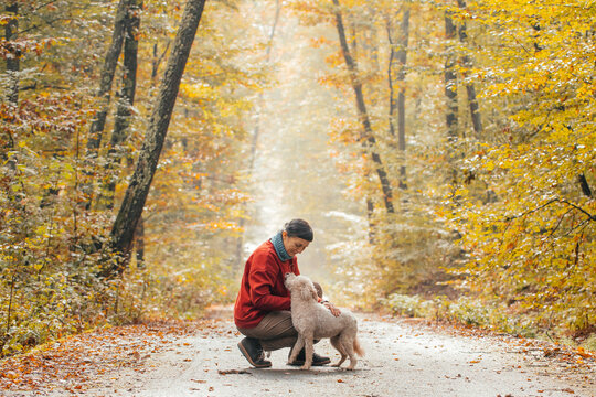 Woman having fun in a forest with her dogs early in an autumn morning. 