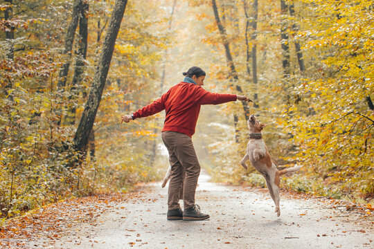 Woman having fun in a forest with her dogs early in an autumn morning. 