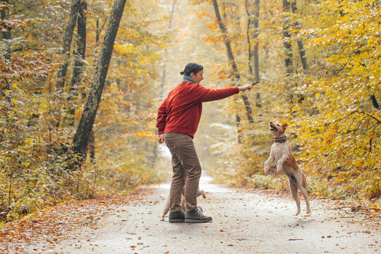 Woman having fun in a forest with her dogs early in an autumn morning. 